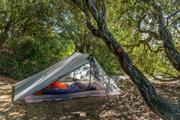 A-Frame tent set up in forested area — Stock Photo, Image