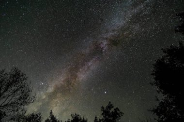 Sequoia Ulusal Parkı 'nda yıldız manzarası çekildi