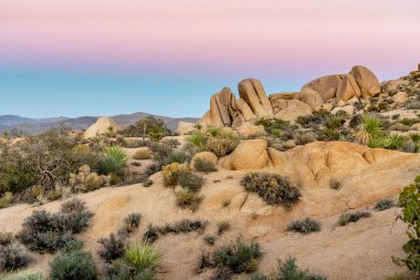 Joshua Tree Natinal Park Alacakaranlık 'a bakan Günbatımı Manzarası