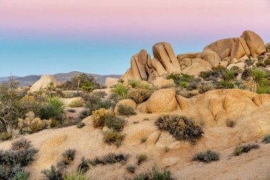 Joshua Tree Natinal Park Alacakaranlık 'a bakan Günbatımı Manzarası