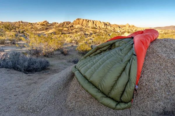 Joshua Tree Ulusal Parkı 'nda Ugq Down Yorganı — Stok fotoğraf