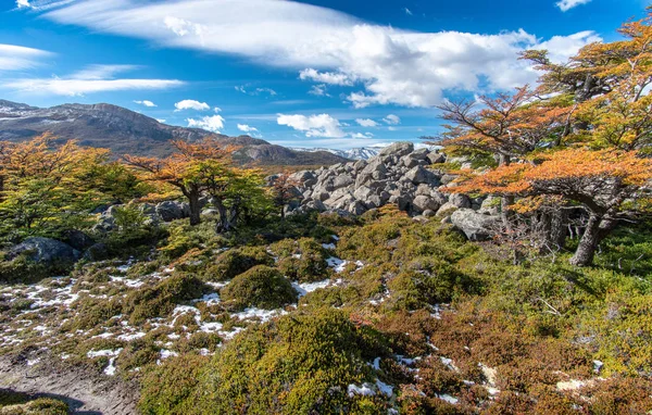 Tres Lagos Hike to Mt. Fitz Roy, El Chalten — Stock fotografie