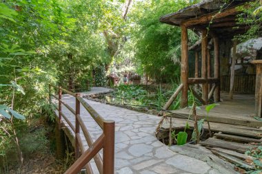 Dünya çapında çekilen resimler