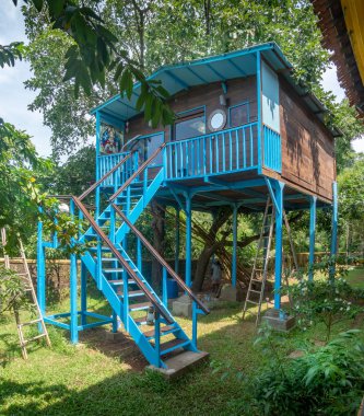 Goa Hindistan 'da inşa edilen Büyük Ağaç Ev