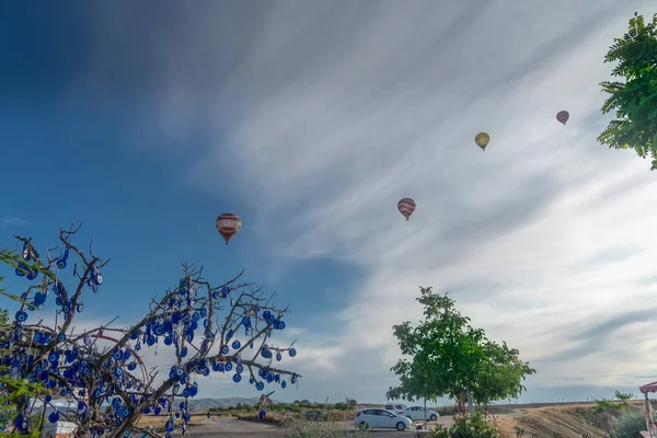 Árbol del mal de ojo con globo aerostático en Bckground —  Fotos de Stock