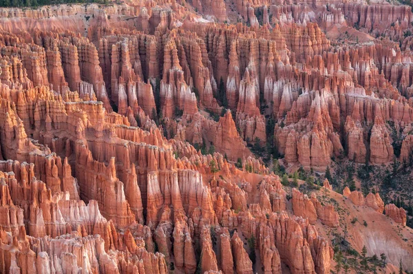 Cañón de Bryce —  Fotos de Stock