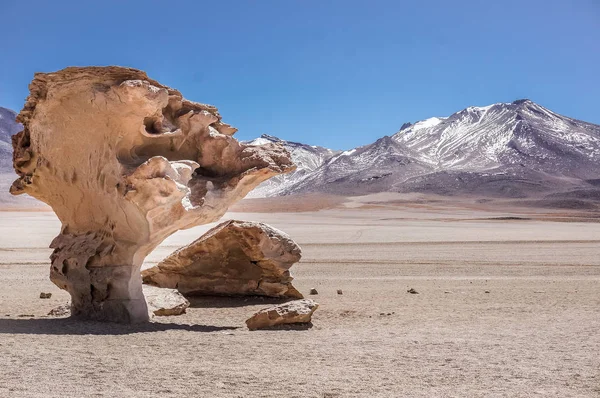 Salt Flats, Bolivia — Stockfoto