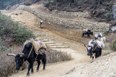 namche çarşı, nepal