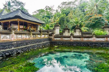 Ubud (Bali), Endonezya