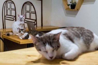 kuala lumpur, Malezya