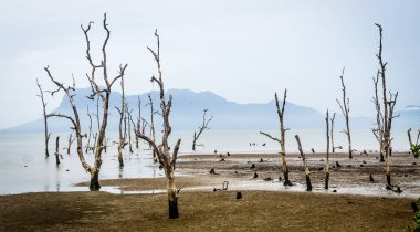 Kuching (Sarawak), Borneo