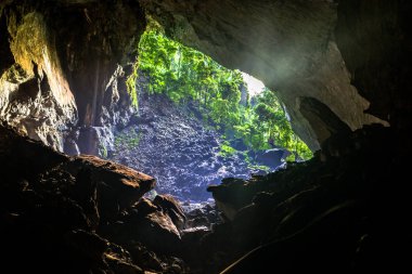 Mulu (Sarawak), Borneo
