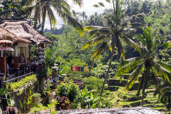 Ubud (Bali), Indonésie — Stock fotografie