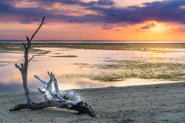 Gili Trawangan (Lombok), Indonesia — Foto de Stock