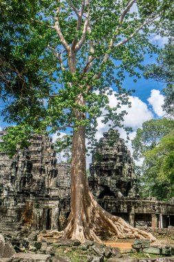 Angkor Wat, Cambodia