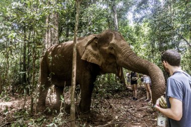 Mondulkiri, Kamboçya