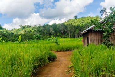 Mondulkiri, Kamboçya