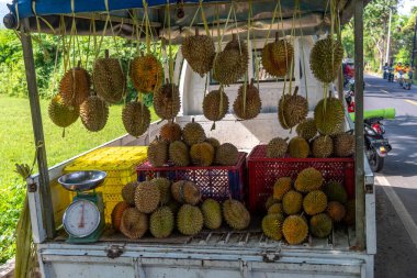 Endonezya, Bali 'deki satıcıdan Durian meyvesi almak