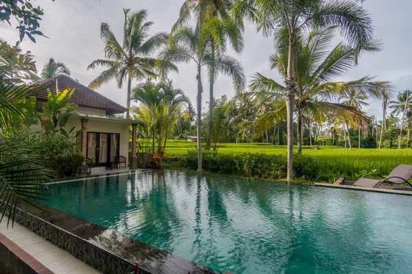 バリ島 緑の木々と青い空の外のインドネシアのプールビュー — ストック写真