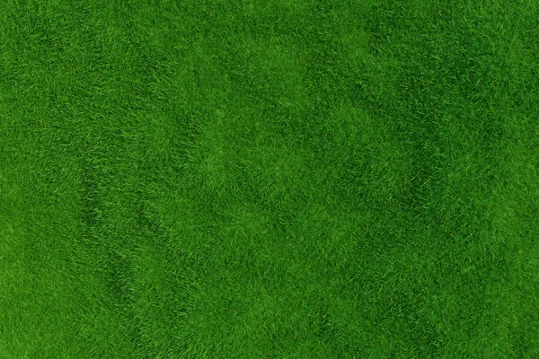 Green grass. background texture.