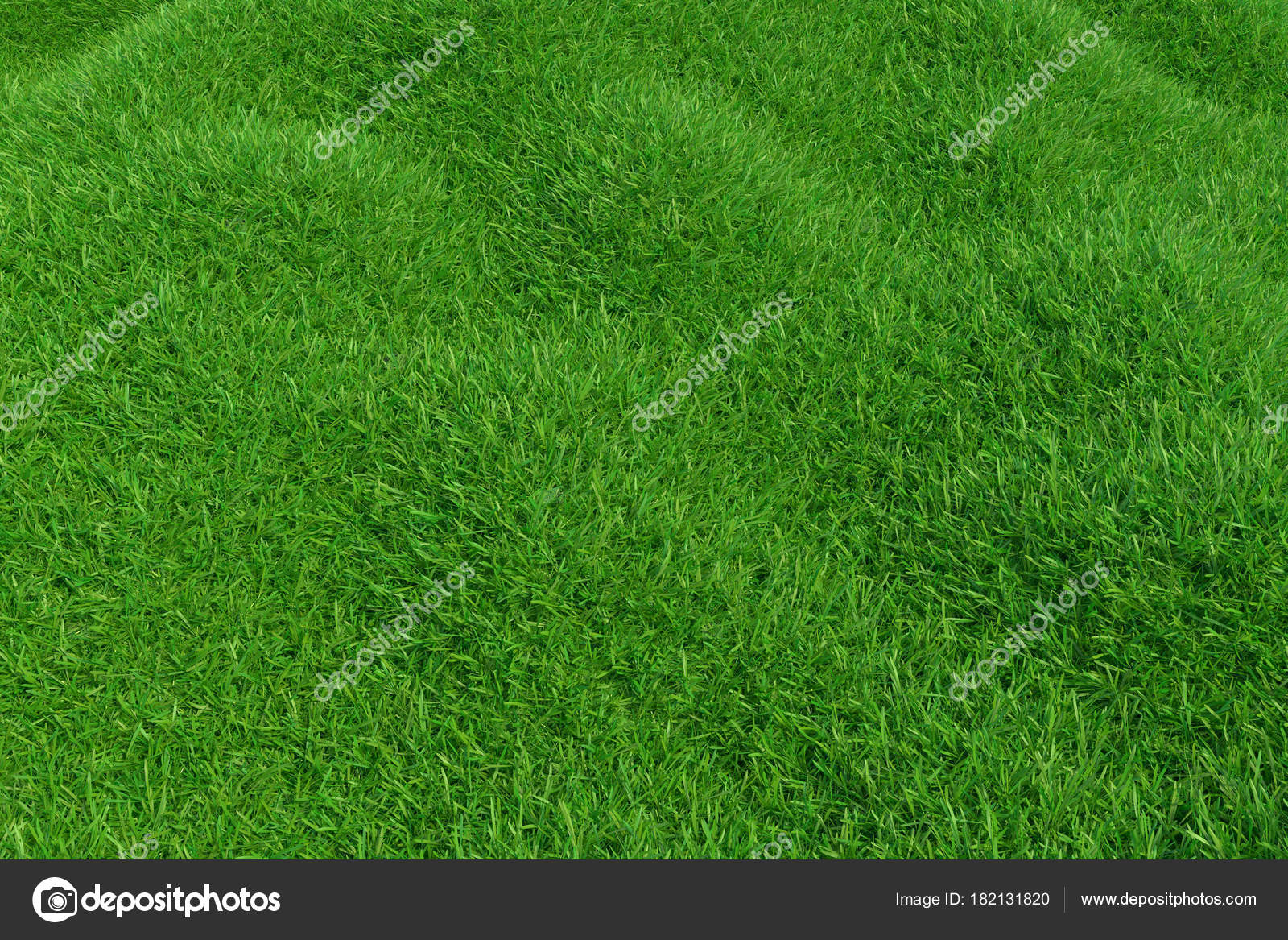 Natural Grass Texture Pattern Background Top View Grassy Lawn For