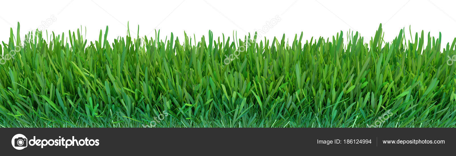 Green Grass Natural Grass Texture Background Meadow Spring