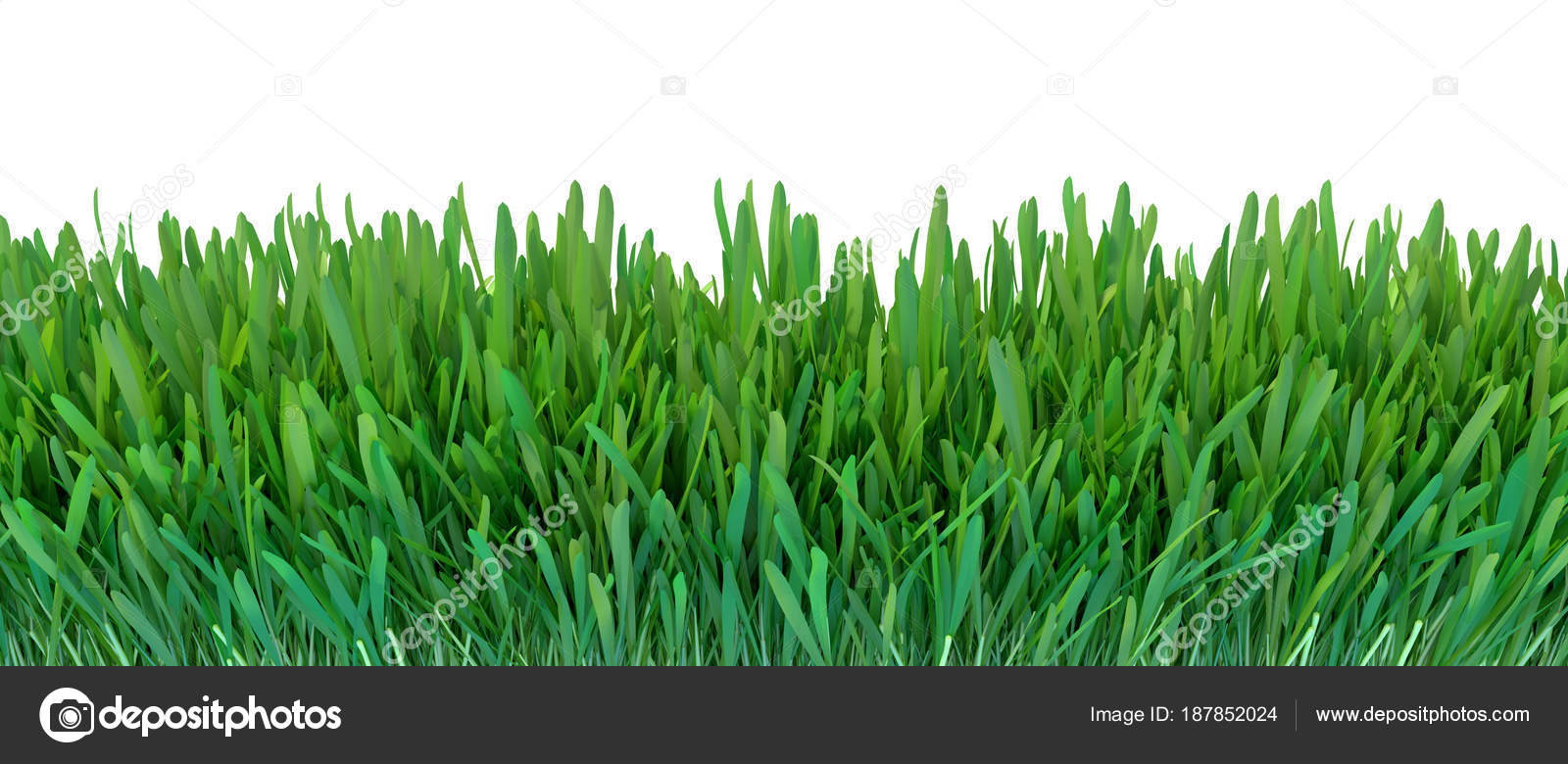 Green Grass Natural Grass Texture Background Meadow Spring