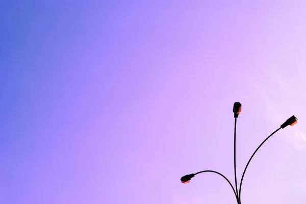 Leylak gökyüzü ve sokak lambası, pembe leylak arkaplan