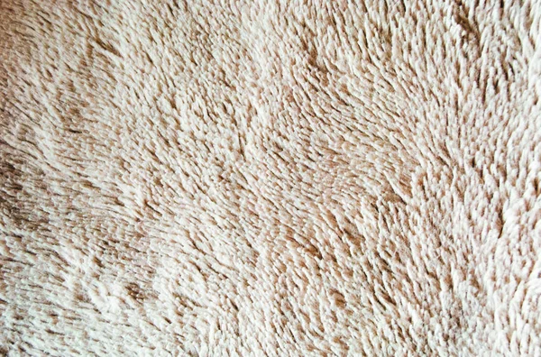 fiberlerin maher beyaz arkaplan dokusu, yumuşak, narin