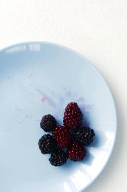 Mavi tabakta böğürtlen