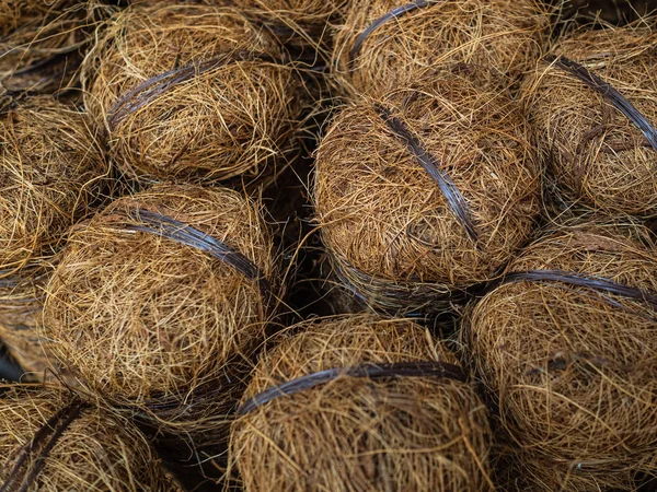 Sticks to support plants. Coconut support to support the trunks of young trees