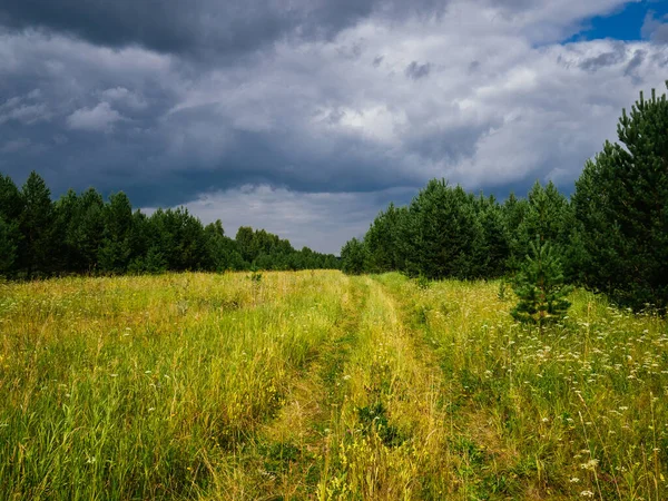 Dark clouds over the forest green grass. Sverdlovsk region, middle Urals