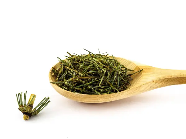 Dry twigs of horsetail lie in a wooden spoon on a white background. — Stock Image Dry Twigs Horsetail Lie Wooden Spoon White Background Stock Image