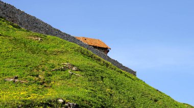 Kule, şafak (Gedimino) Vilnius, Litvanya. Tarihi sembolü Vilnius şehir ve Litvanya kendisi. Üst Vilnius Castle kompleksi.