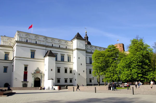 Der Domplatz Der Hauptplatz Der Altstadt Von Vilnius Ein Zentraler — Stockfoto