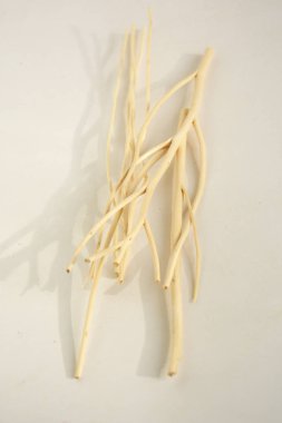 Dekor için ağaç dalı. Tebrik kartları tasarla. Noel dekoru