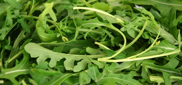 green fresh rucola leaves . Rocket salad or arugula.