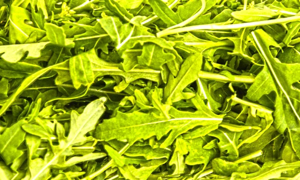 green fresh rucola leaves . Rocket salad or arugula.