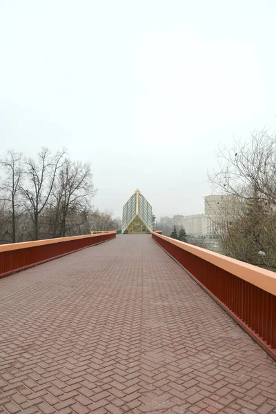 Андреевский Пушкинский Пешеходный Мост Москве — стоковое фото