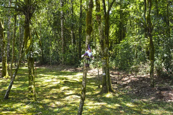 Papai Noel Uma Árvore Parque Serra Cachoeira Caracol Eléctricos Aéreos — Fotografia de Stock