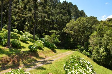 Dağların ve ağaçların manzarası, Caracol Şelalesi ve Hava Tramvayı Serra Parkları, Canela, Brezilya