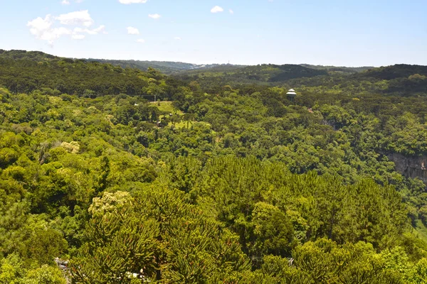 Vista Montanhas Árvores Cachoeira Caracol Caminhos Aéreos Serra Parques Canela — Fotografia de Stock