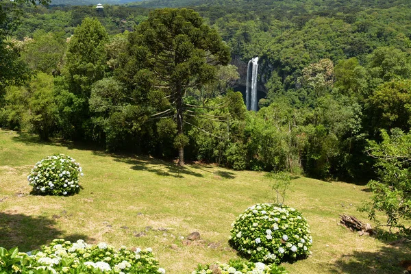 Cachoeira Caracol Cascata Caracol Canela Rio Grande Sul Brasil — Fotografia de Stock