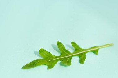 yeşil taze roka yaprakları. Roket salatası, roka.