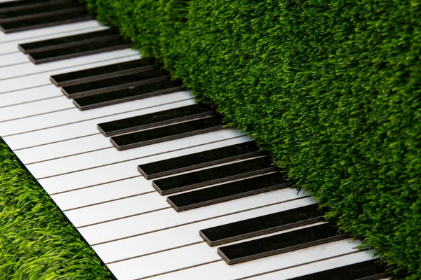 Piano Topiary Grass City Center Vitebsk — Stock Photo, Image