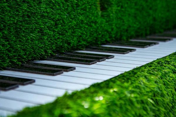 Piano Aus Topiary Gras Der Innenstadt Witebsk — Stockfoto