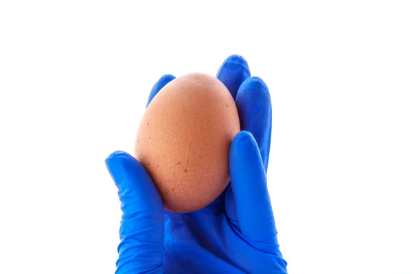 계란을 라텍스 장갑을 — 스톡 사진