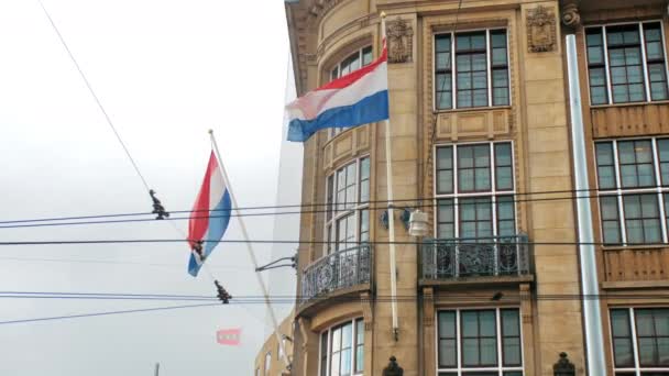 Grandes banderas de los Países Bajos en los mástiles de las casas antiguas en Amsterdam — Vídeo de stock