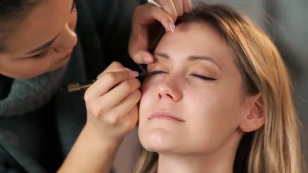 Maquillage des yeux femme appliquant de la poudre de fard à paupières. Le modèle sourit — Video