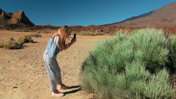 Жінка в джинсовій куртці і смугастих штанях використовує мобільні фотографії. На тлі незвичайного чагарника і гірського пустельного пейзажу. Концепція створення контенту для соціальних мереж — стокове відео